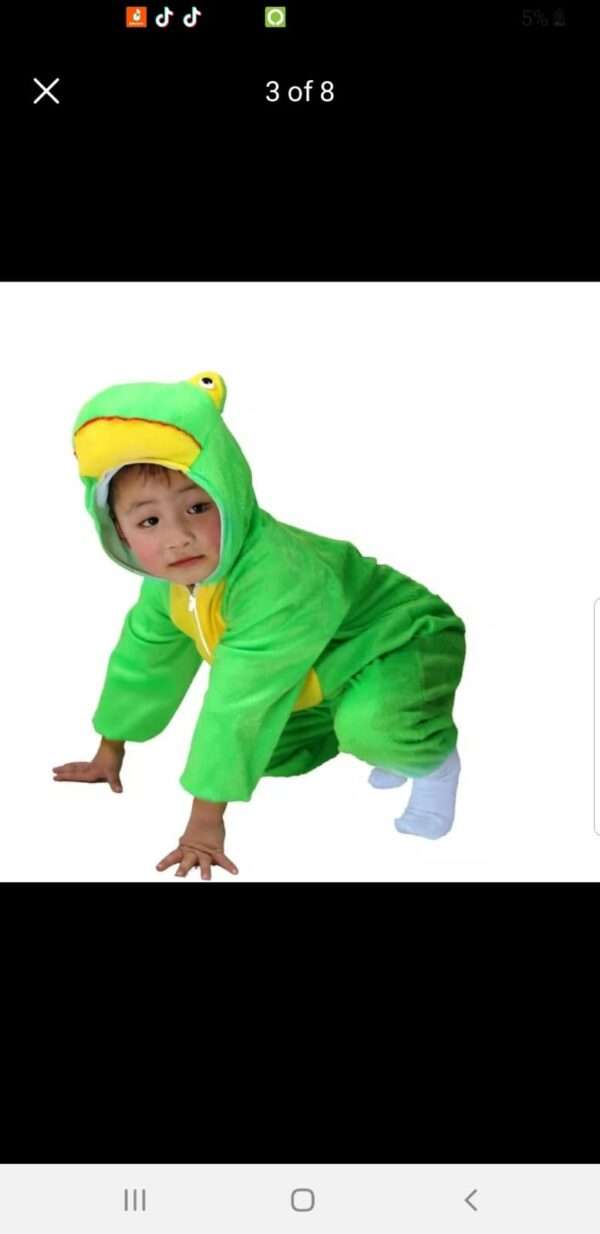 Frog Costume - Image 4
