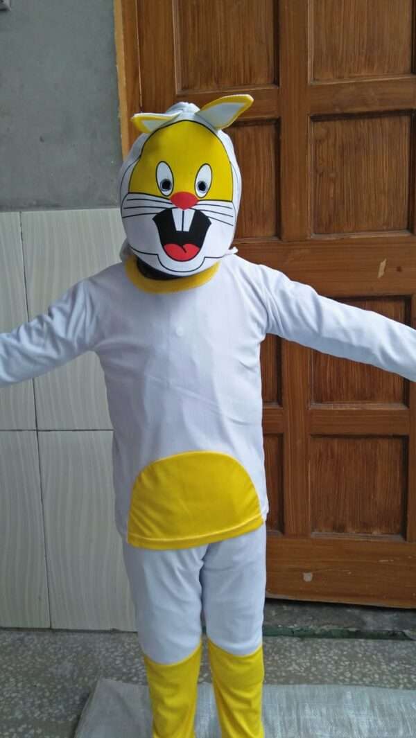 Rabbit  Costume