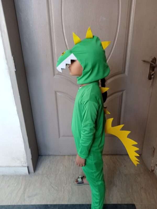 Dinosaur Costume