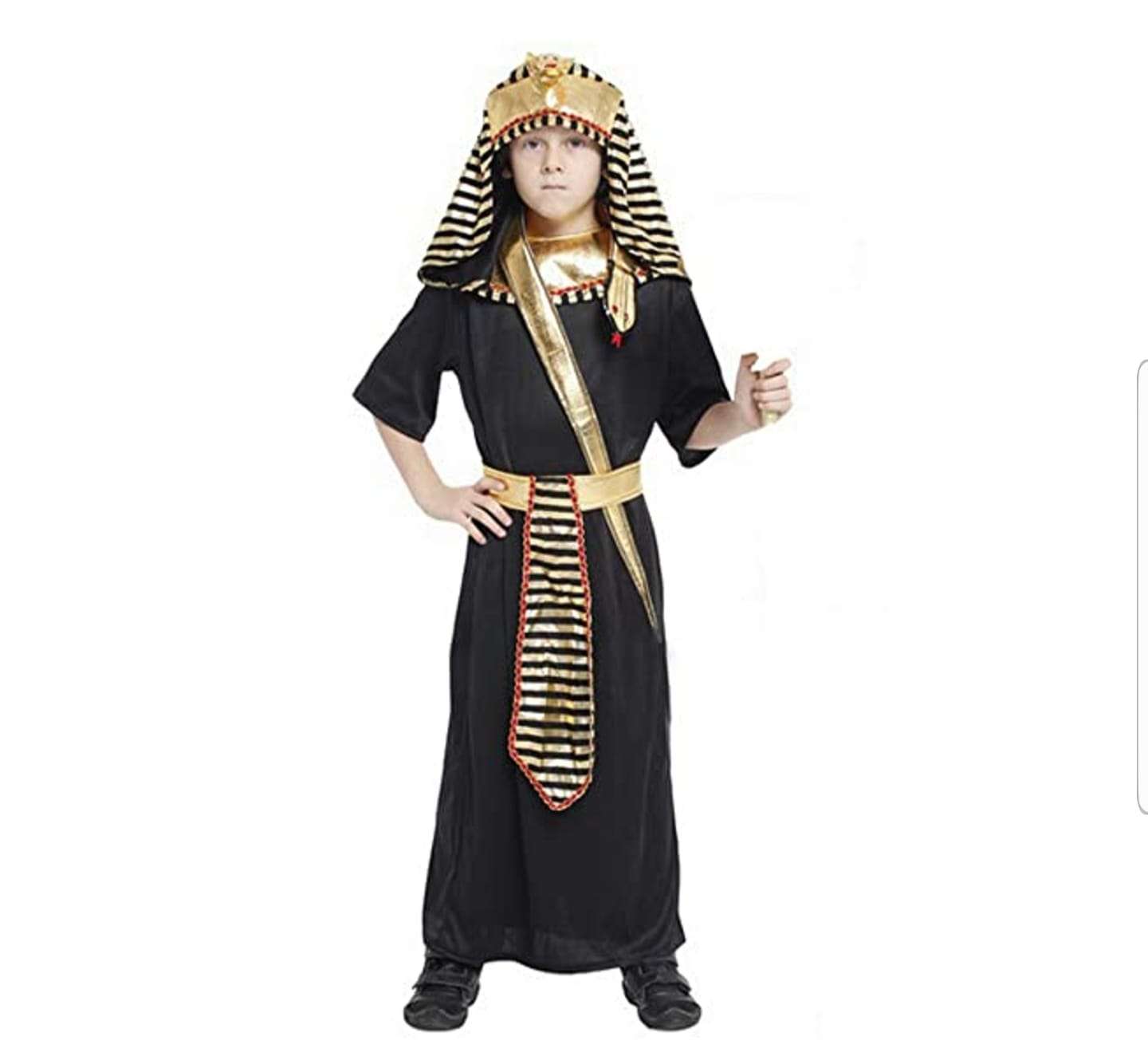 Egyptian Pharaoh Kids Costume - Kids Mall