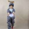 Zebra Costume