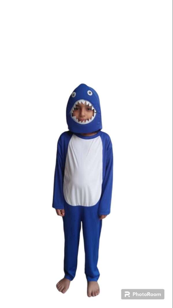 Dolphin Costume