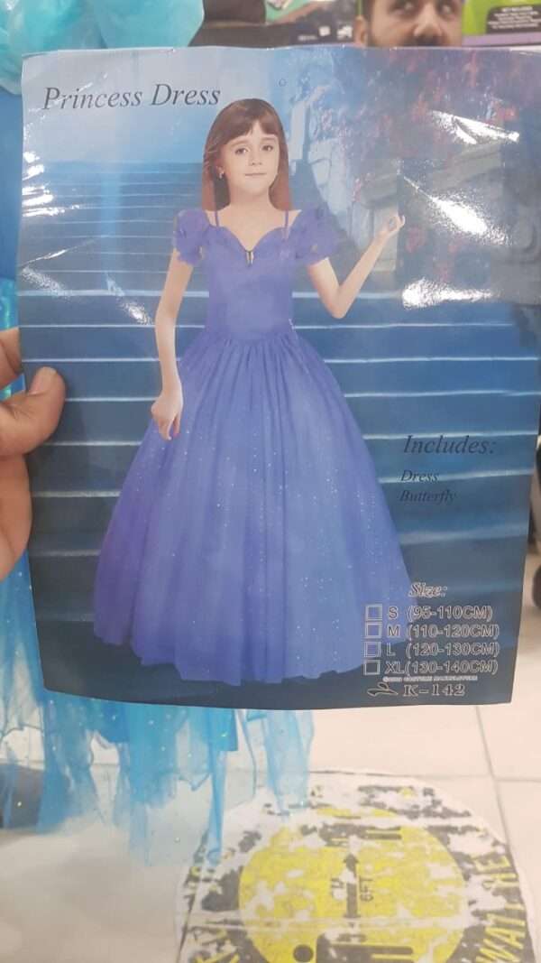 Cinderella Costume - Image 4